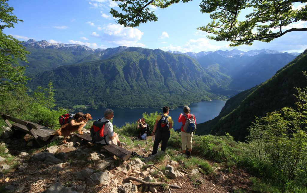 Planina Vogar, Foto: Mitja Sodja