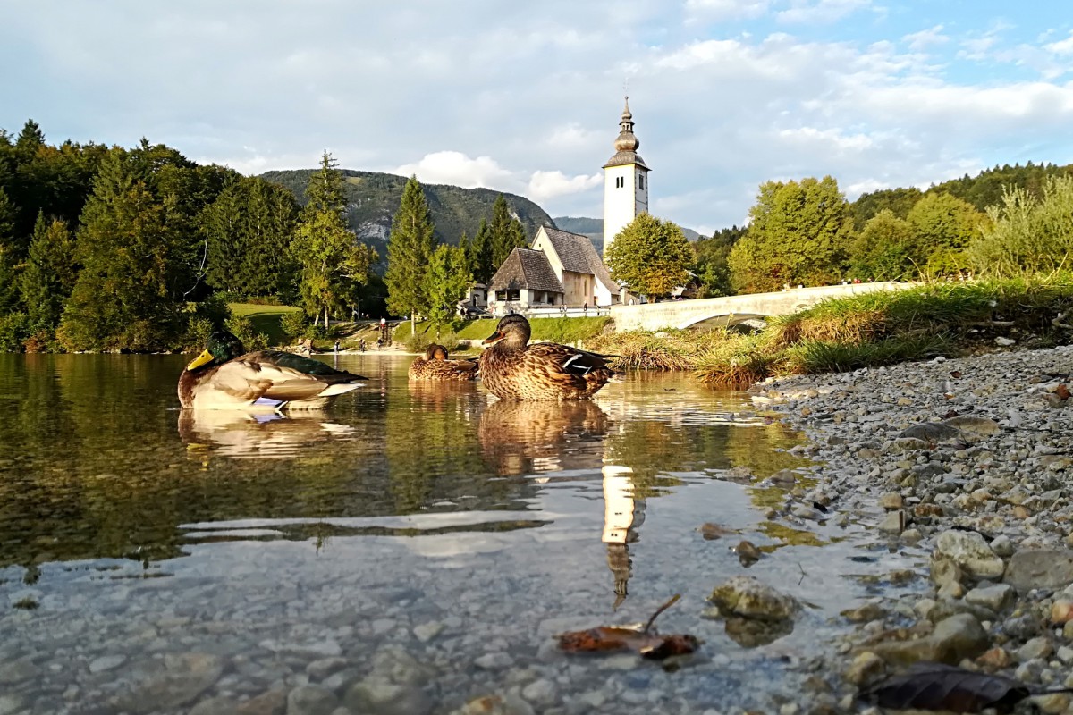 Bohinjsko jezero; foto: Mitja Sodja